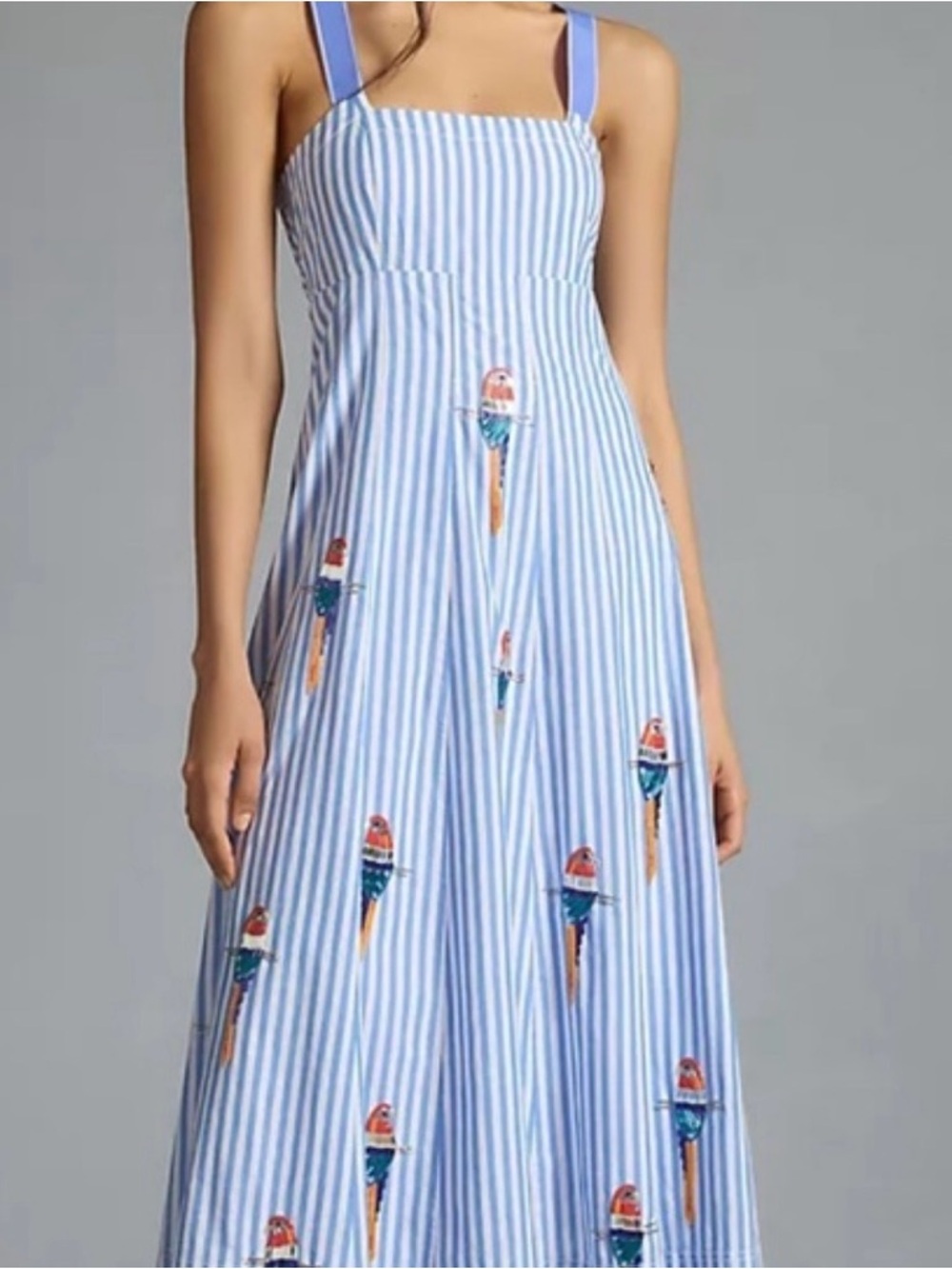 Anthropologie Light Blue & White Striped Parrot-Embroidered Maxi Dress